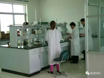 《蛋雞福星》預(yù)混料 網(wǎng)絡(luò)直銷助力高效養(yǎng)殖，生物科技引領(lǐng)健康新篇